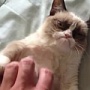 День Святого Валентина? Нет такого праздника День Святого Валентина? Нет такого праздника